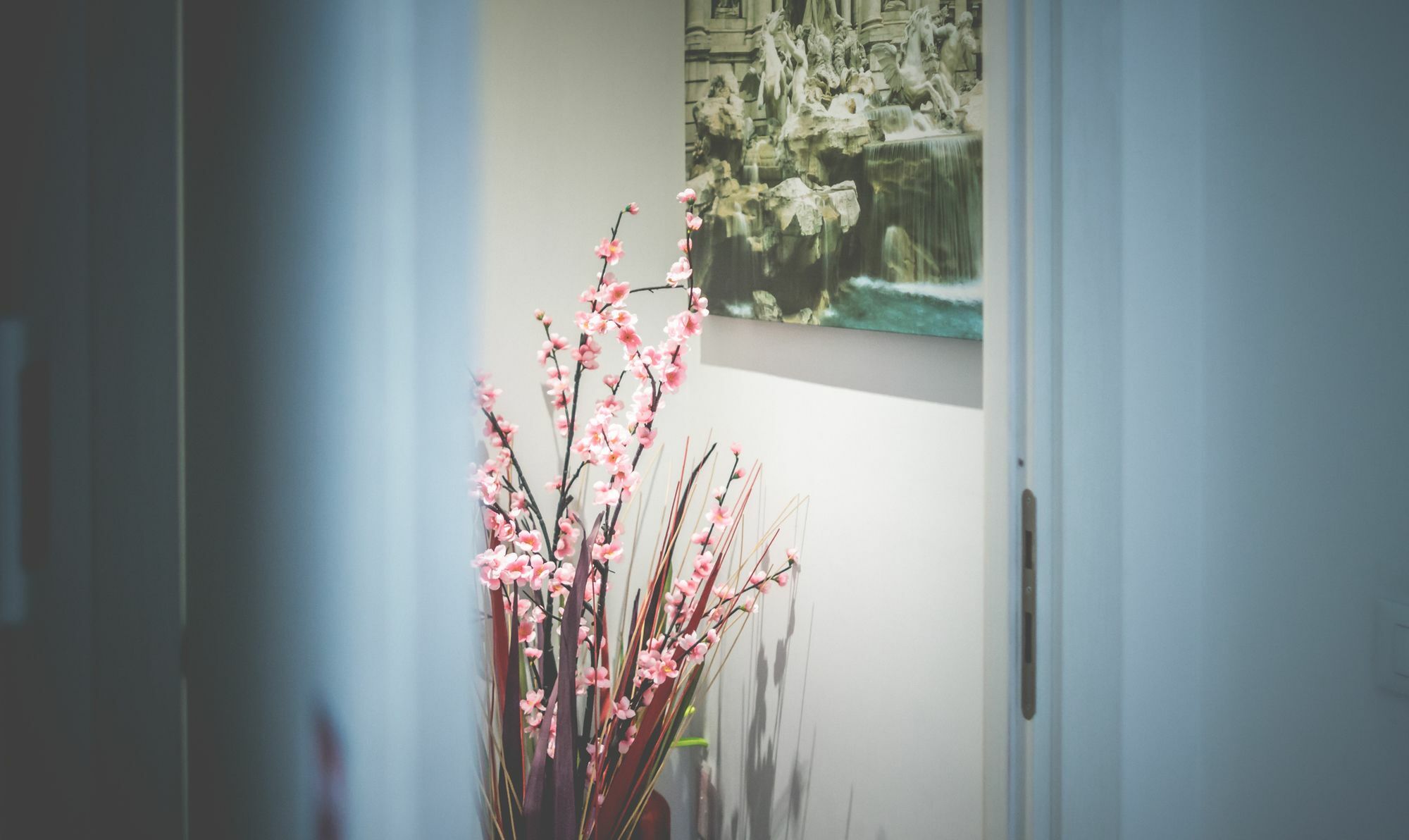 Domus Alberti Bed & Breakfast ローマ エクステリア 写真