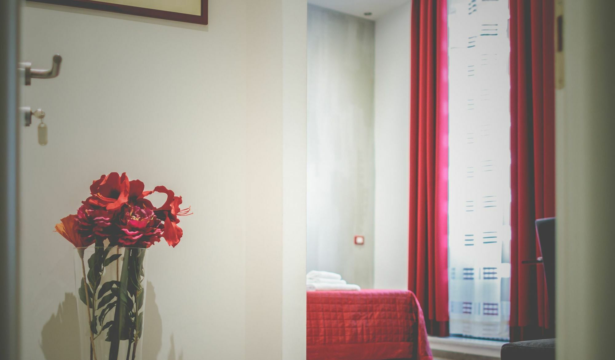 Domus Alberti Bed & Breakfast ローマ エクステリア 写真